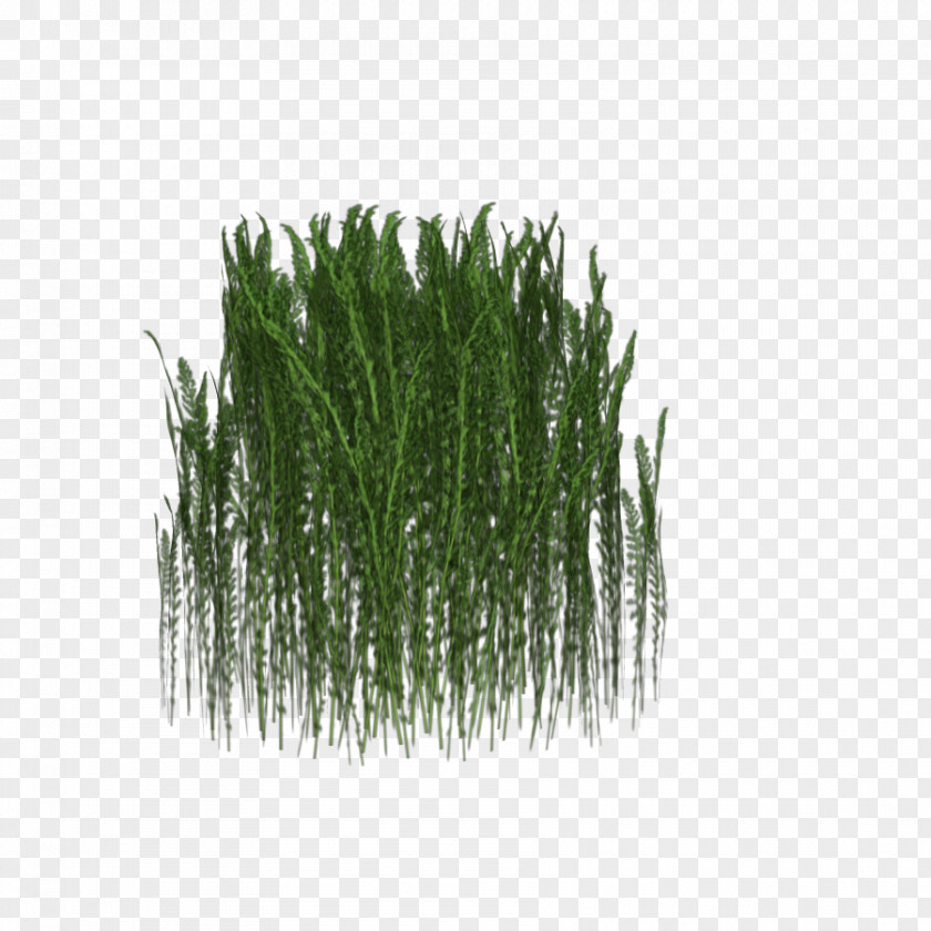 Grass Clip Art Image Download PNG