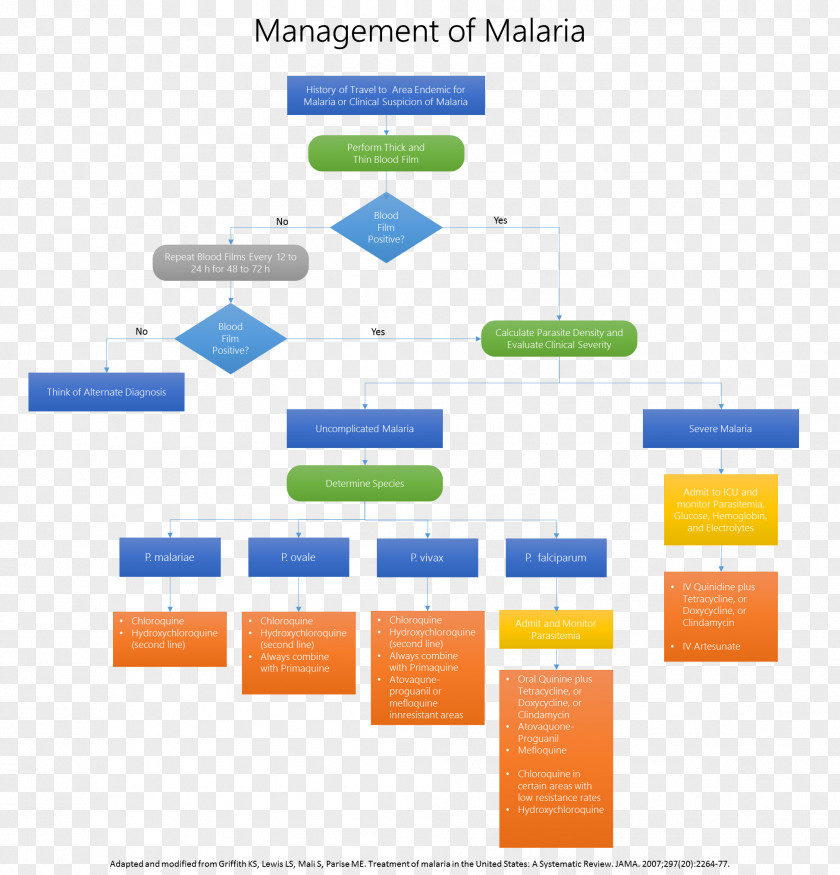 Health Management Artesunate Squamous Intraepithelial Lesion Cervical Neoplasia Malaria Pap Test PNG