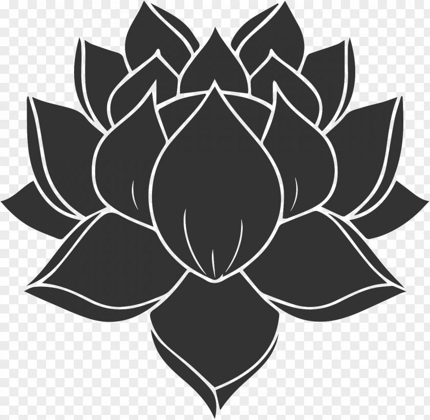 Lotus Flower Silhouette Nelumbo Nucifera PNG