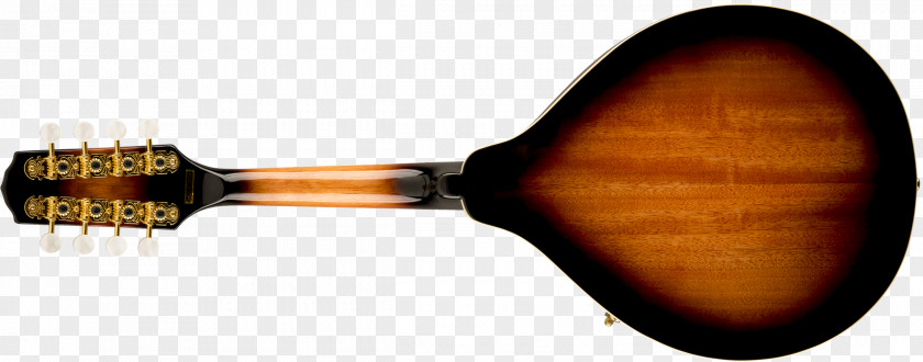 Mandolin Brazil String Phosphor Bronze Tuning Peg PNG