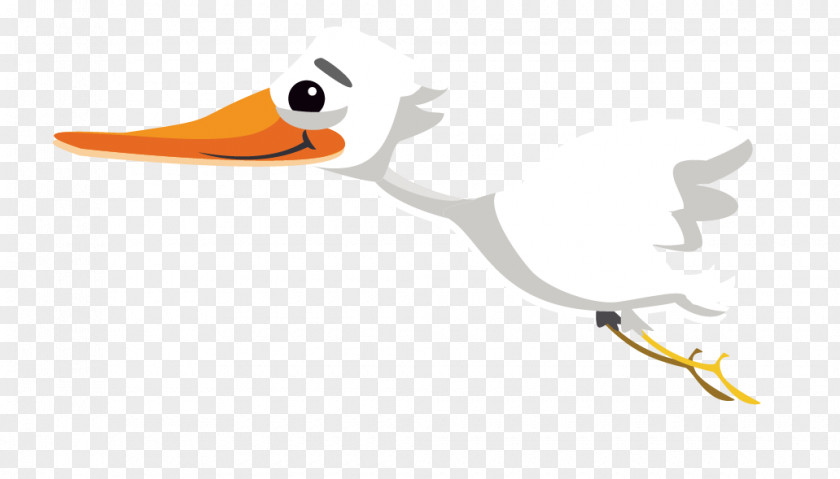 Swan Duck Bird Cygnini Cartoon Illustration PNG