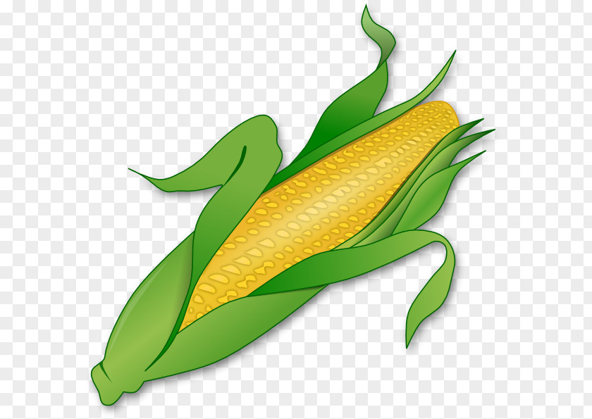 Cornstalk Clipart Corn On The Cob Maize Sweet Clip Art PNG