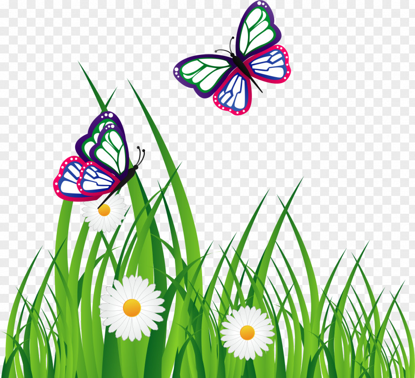 Daisy Butterfly Adobe Illustrator Graphic Design Download PNG