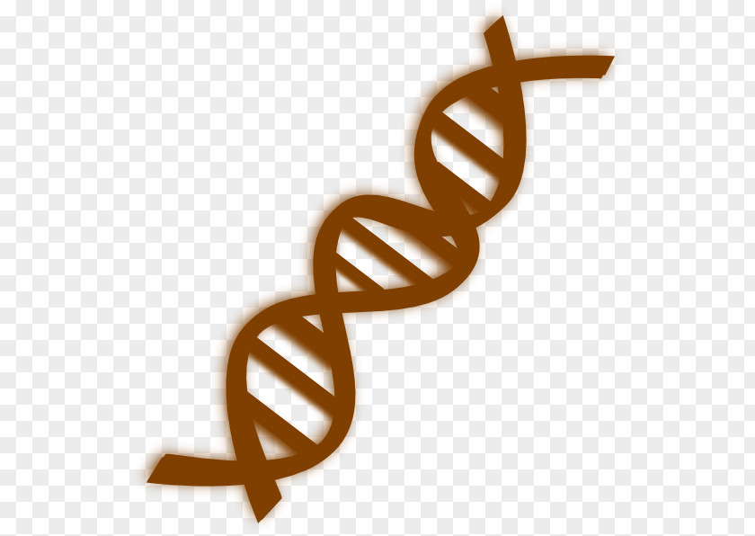 DNA Vector Clip Art PNG