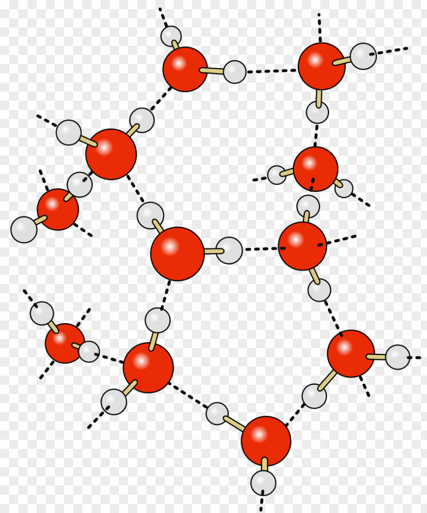 Hydrogen Bond Water Partial Charge Chemical PNG