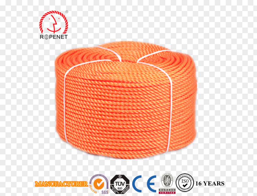 Rope Yarn Extrusion Spinning Polypropylene PNG