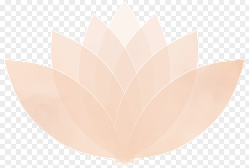 White Lotus Pink M PNG