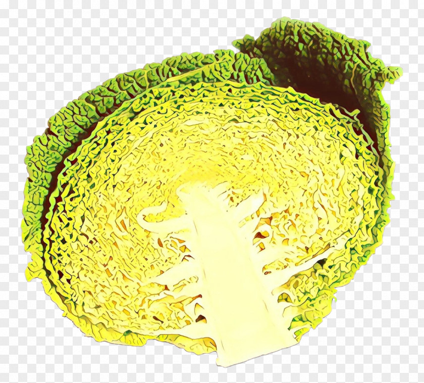 Yellow Cabbage Plant PNG