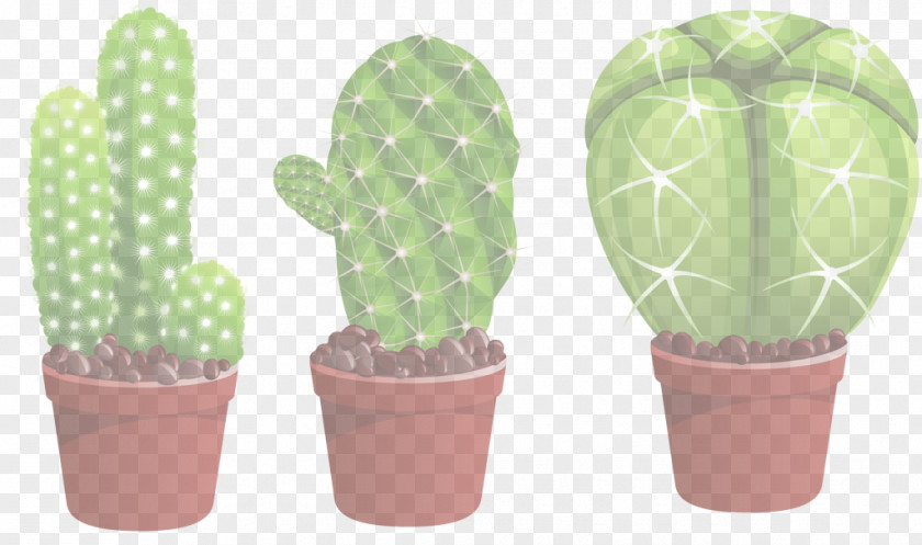 Flower Succulent Plant Cactus PNG