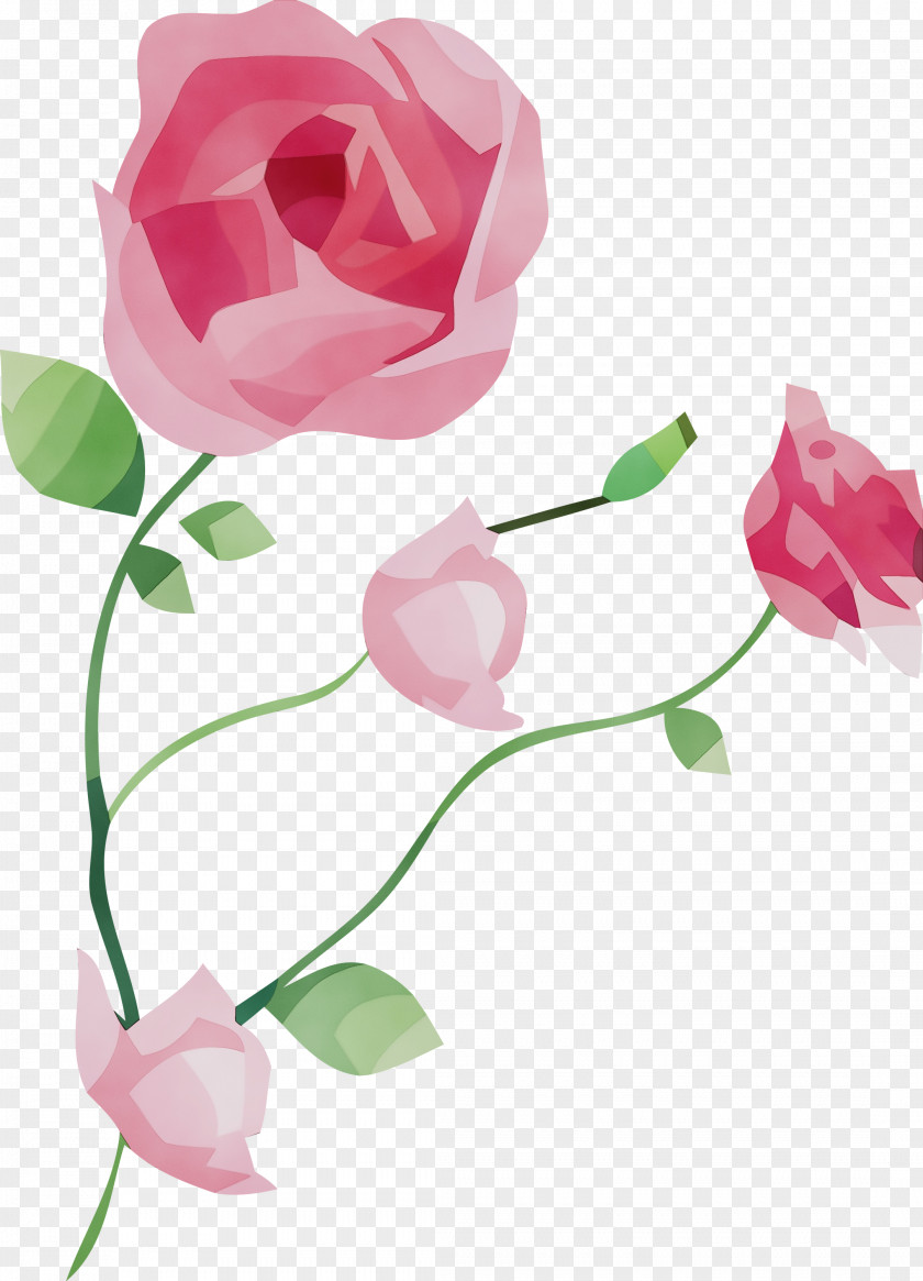 Garden Roses PNG