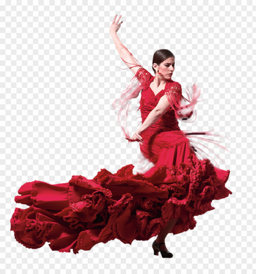 Guitar Bienal De Flamenco Dance Performing Arts PNG