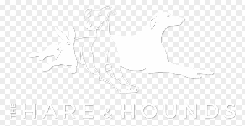 Hare And Hound Line Art Drawing White Mammal Sketch PNG