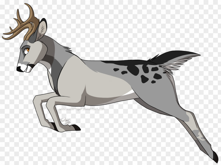 King Of Animals White-tailed Deer Mule Drawing Art PNG