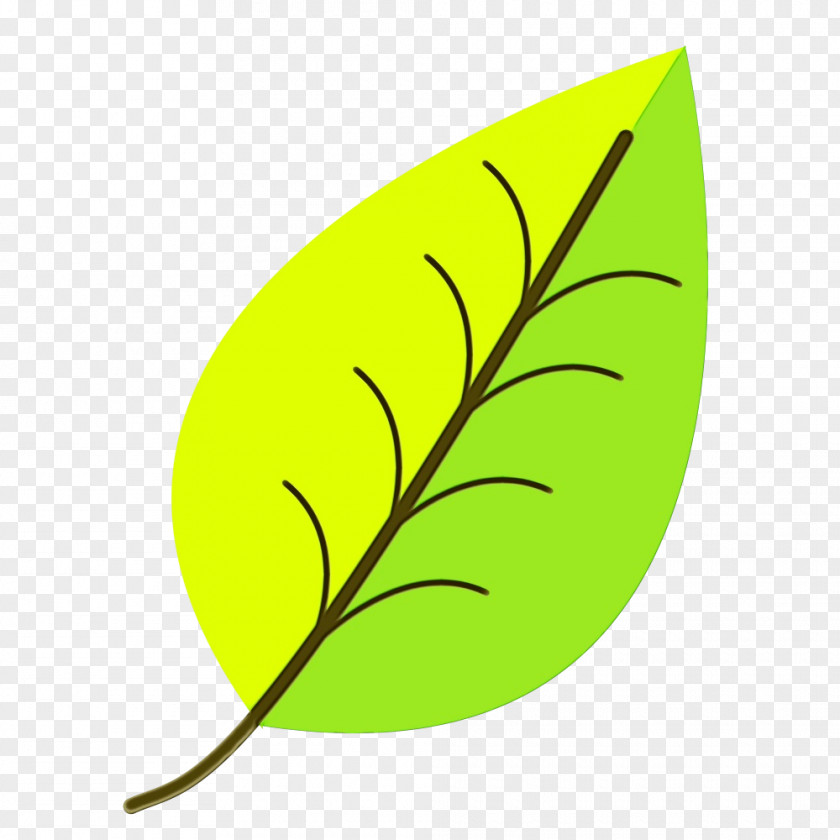Logo Tree Leaf Yellow Clip Art Plant PNG
