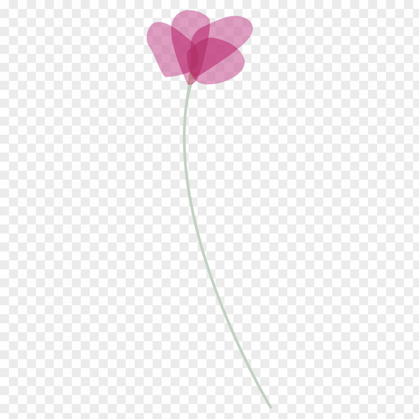 Poppy Flower PNG