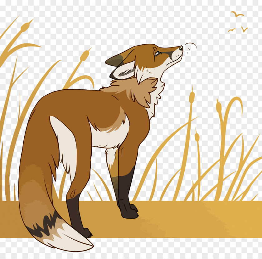 Vector Reed Grass Fox Red Dog Euclidean Illustration PNG