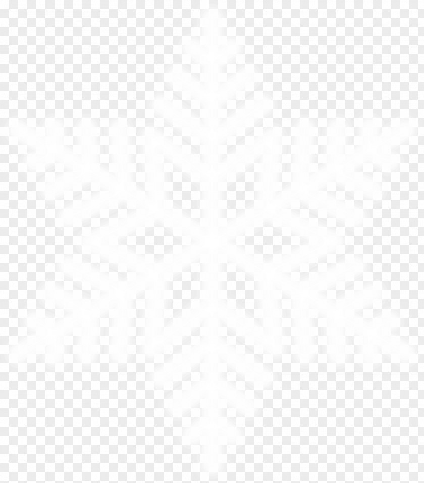 White Concise Snowflake Black And PNG