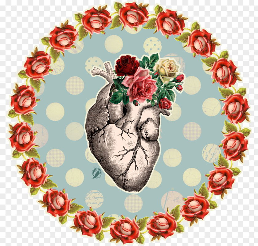ContemporaryBackground Anatomy Heart Drawing PNG