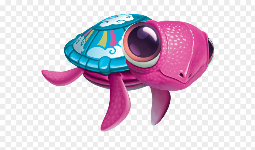 Pet Turtle Sea Dog PNG