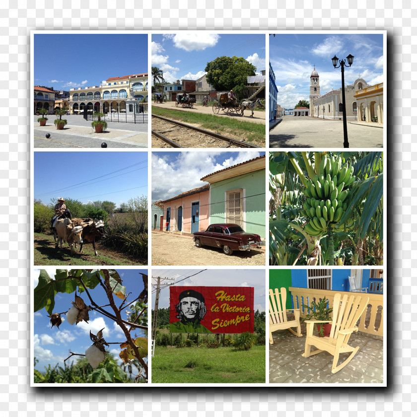 Vacation Resort Landscape Property Tourism PNG