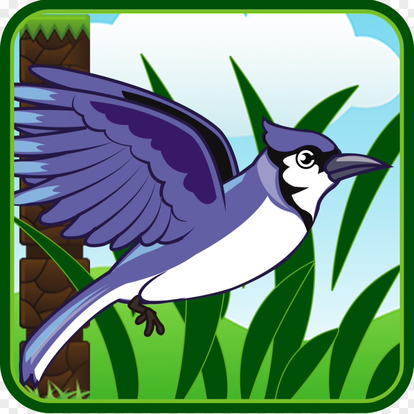 Clifford Beak Purple Songbird Animal PNG