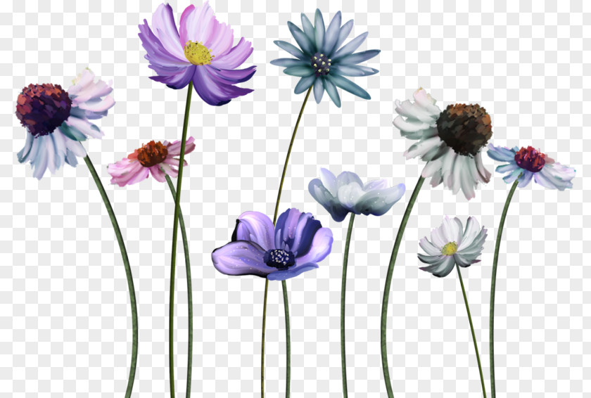 Clip Art Flowers Desktop Wallpaper Common Daisy Flower Display Resolution Image PNG