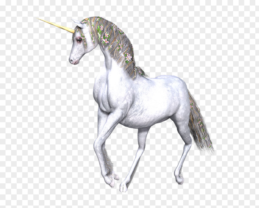 Die Nachfolger ArtUnicorn Unicorn Drawing Deko Betz PNG