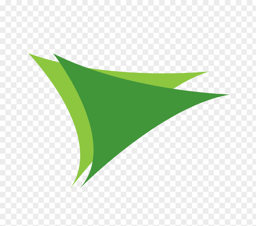 Line Green Leaf PNG