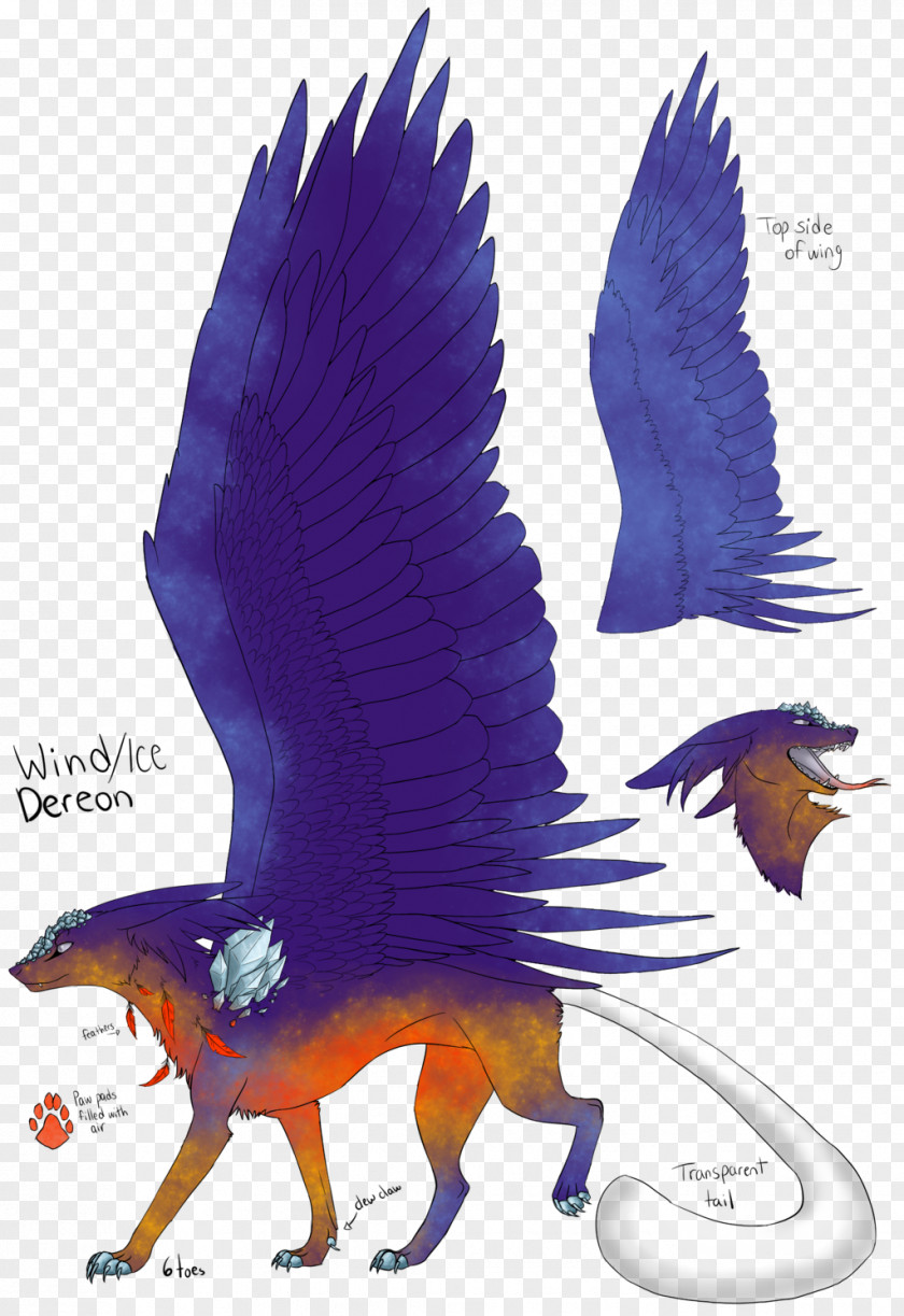 Star Burst Eagle Feather Beak Wildlife Dragon PNG