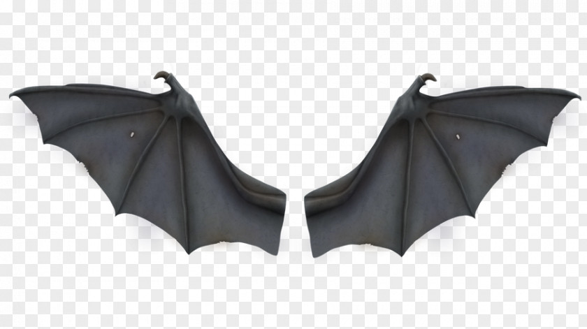 Bat Wing Development Buffalo Clip Art PNG