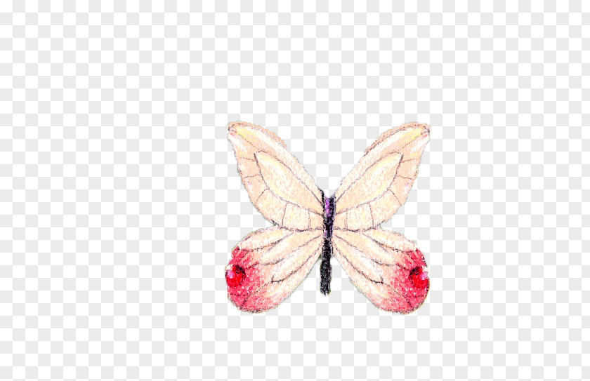 Butterfly Pattern PNG