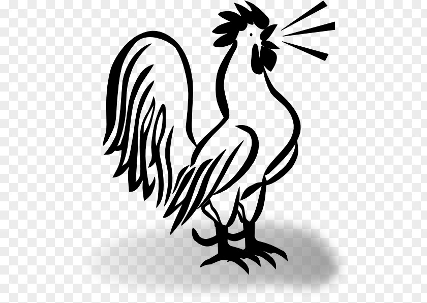 Chicken Zazzle Rooster Clip Art PNG