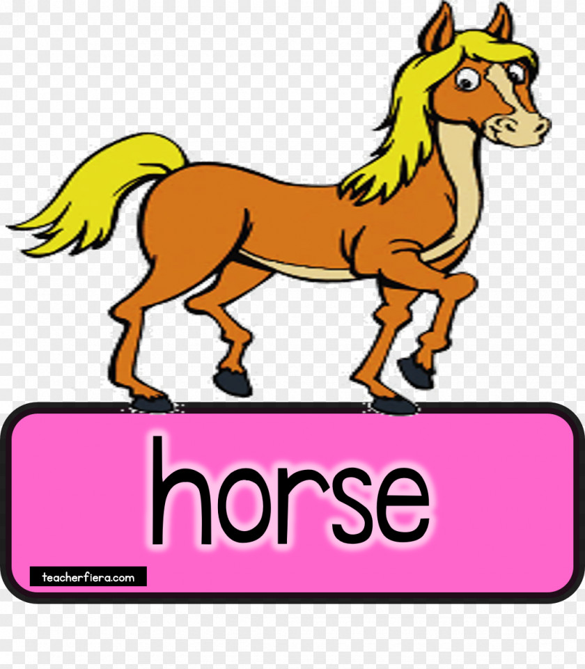 Mustang Foal Pony Colt Clip Art PNG