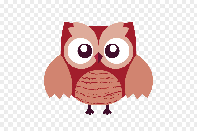 Owl Bird Flat Design PNG