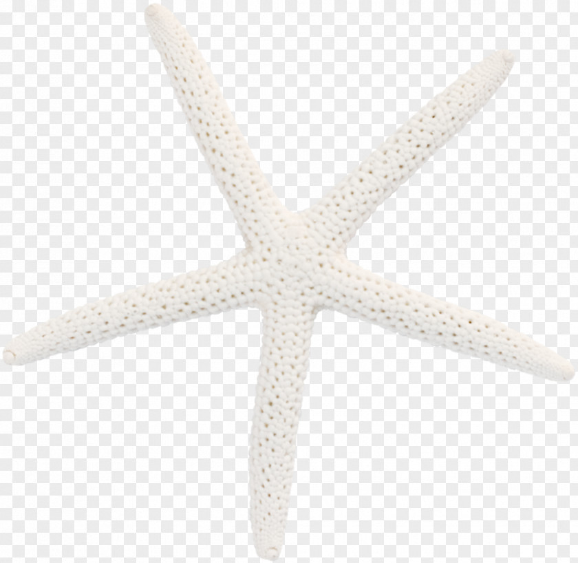 White Starfish Pattern PNG