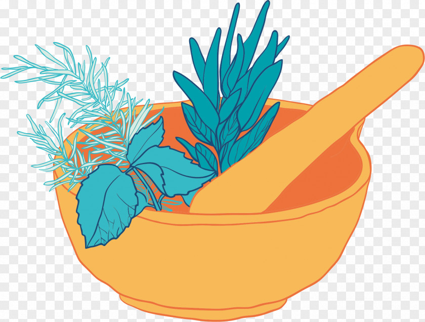 Wild Herbs Drawing U0646u0627u0631u06ccu0646 U06afu0644 Clip Art PNG