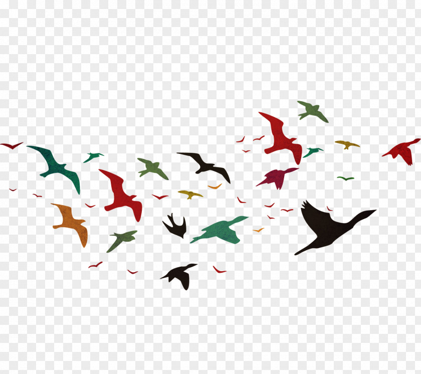 Bird Flight PhotoScape PNG