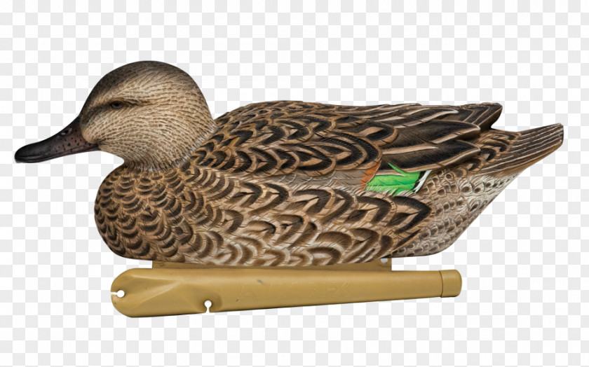 Duck Mallard Decoy Goose Green-winged Teal PNG