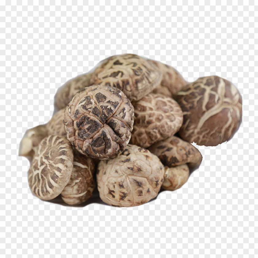 Mushroom Shiitake Food Drying Chinese Cuisine Organic PNG