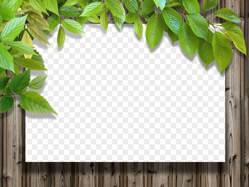 Picture Frame Twig PNG