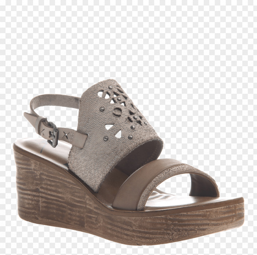 Sandal Wedge Shoe Slingback Espadrille PNG