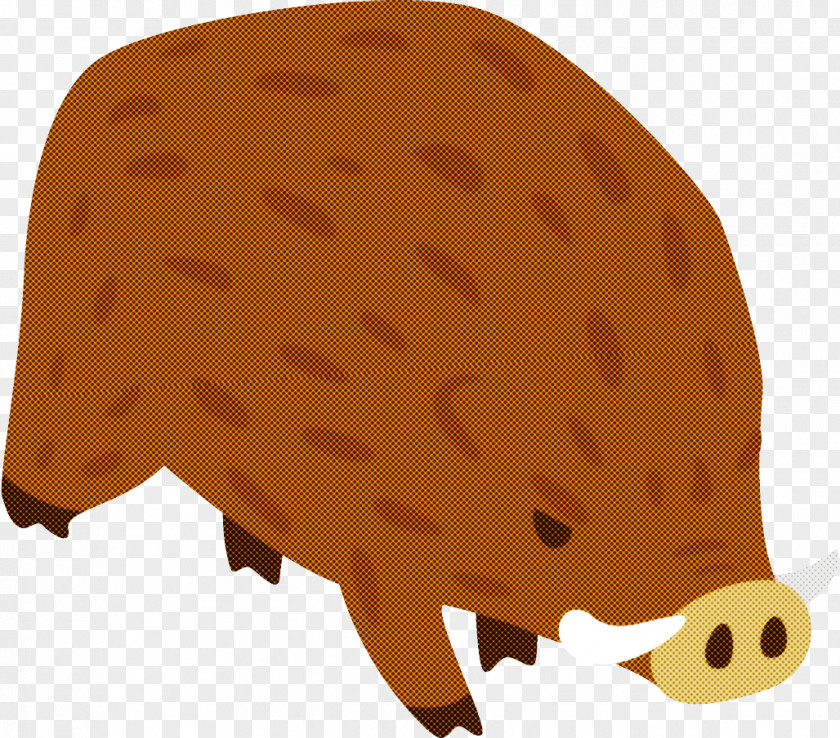 Boar Snout Hedgehog PNG