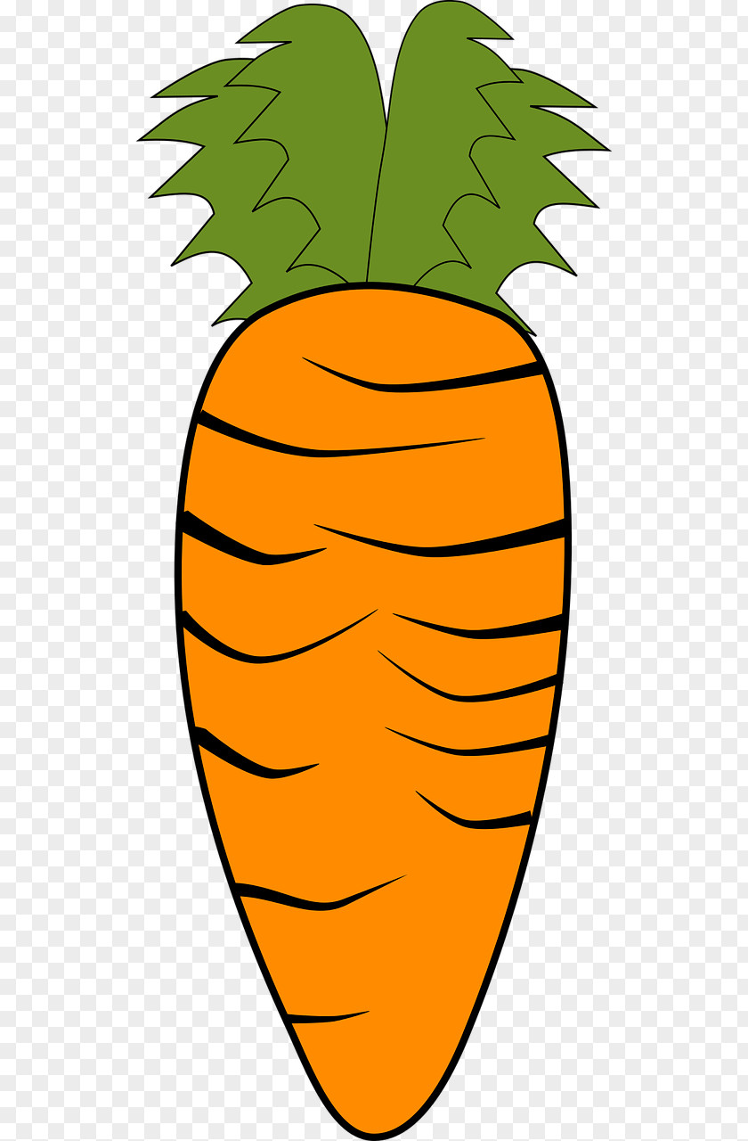 Carrot Vegetable Organic Food Clip Art PNG