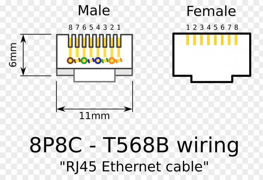 Cat5 Category 5 Cable Wiring Diagram 8P8C Electrical Connector Ethernet PNG