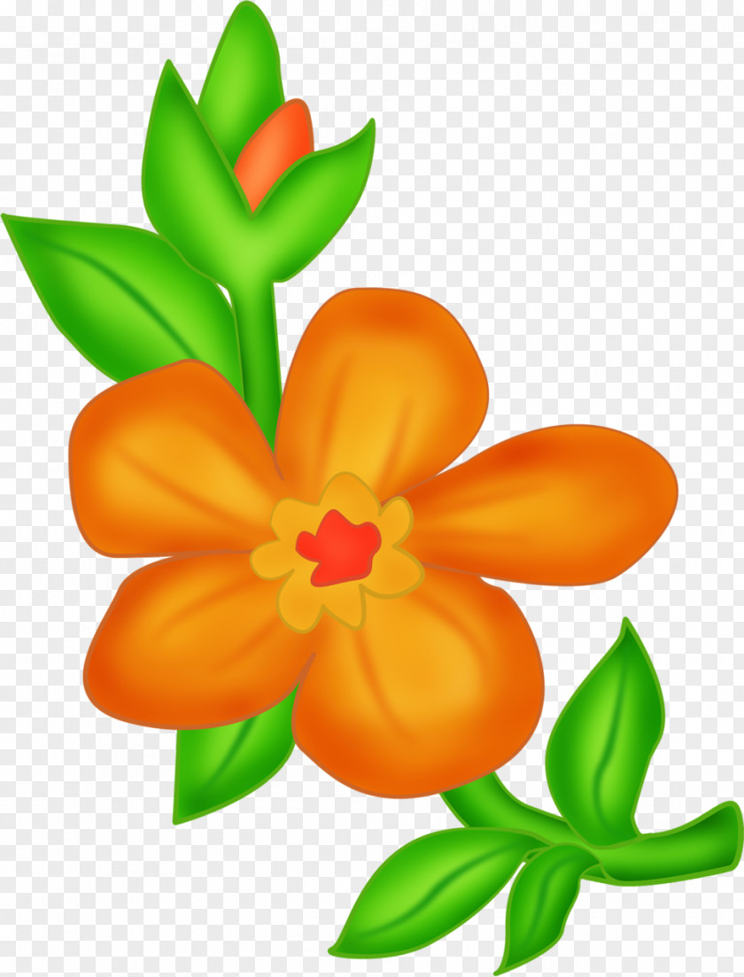 Drawing Flower Cut Flowers Floral Design Floristry Petal PNG