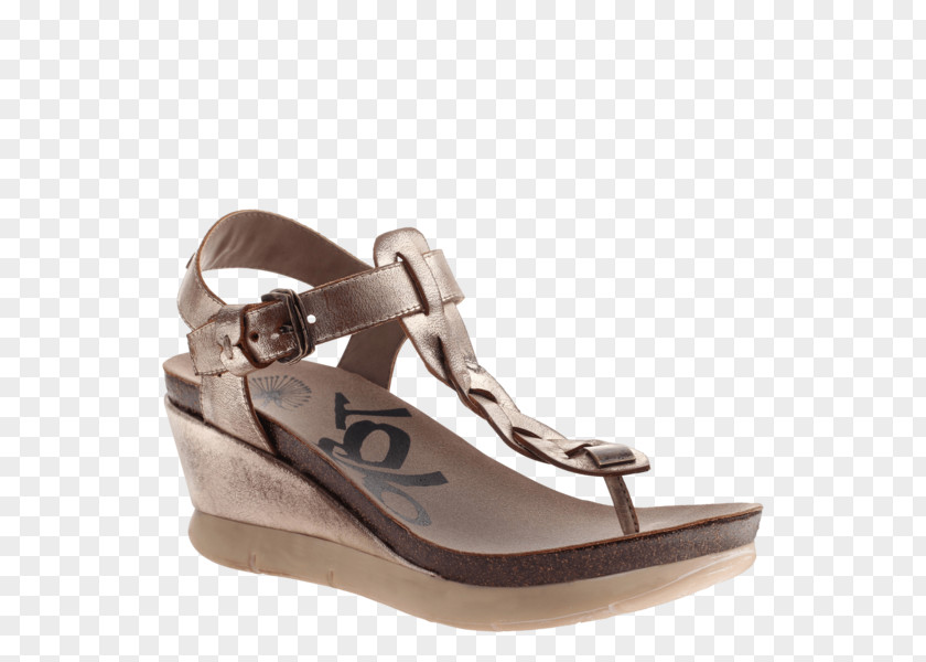 Sandal Wedge Flip-flops Shoe Crocs PNG