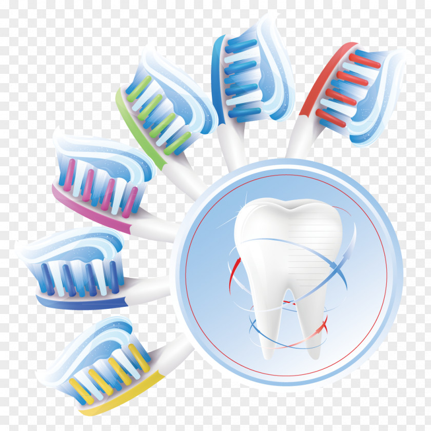 Toothbrush Teeth Human Tooth Dentistry Cleaning PNG
