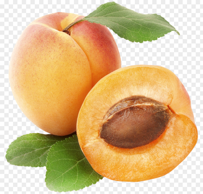 Hand Emoji Apricot Fruit Clip Art PNG