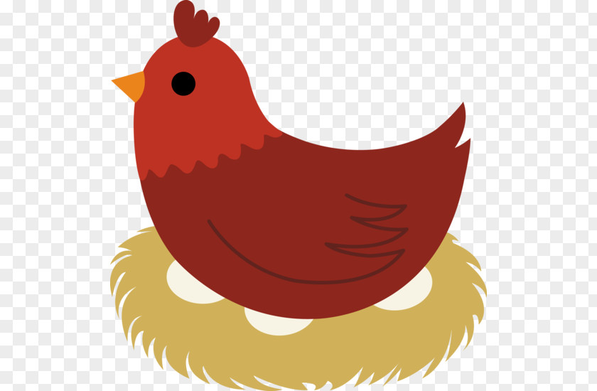 Hen Chicken Fried Egg Nest Clip Art PNG