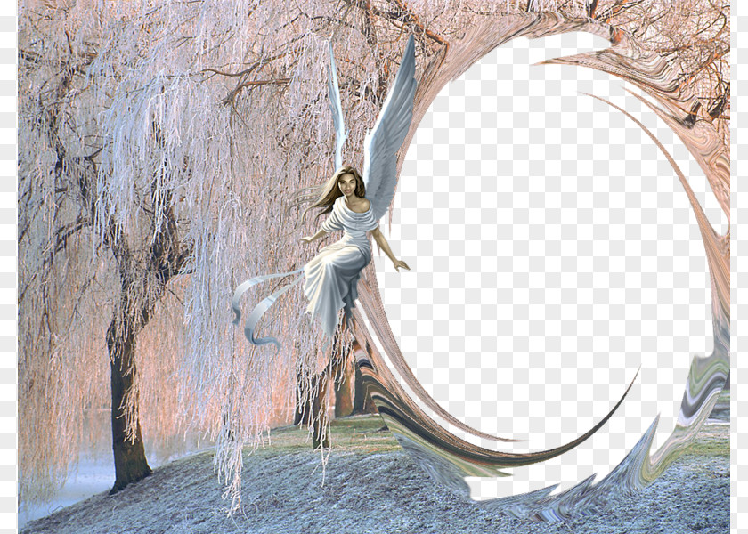 Angel Tree Weeping Willow Ice Snow Wallpaper PNG